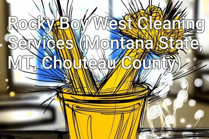 Rocky Boy West Cleaning Services (Montana State, MT, Chouteau County)