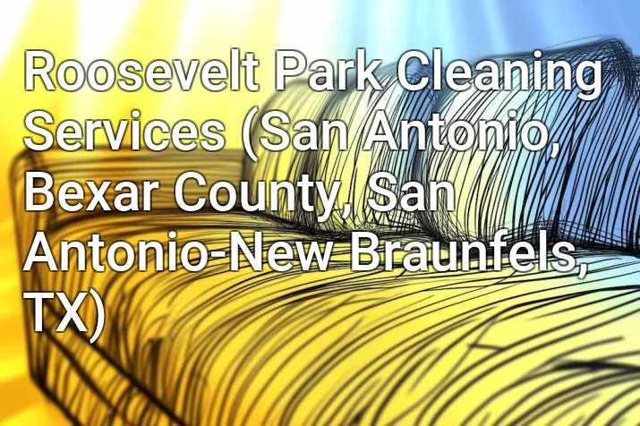 Roosevelt Park Cleaning Services (San Antonio, Bexar County, San Antonio-New Braunfels, TX)