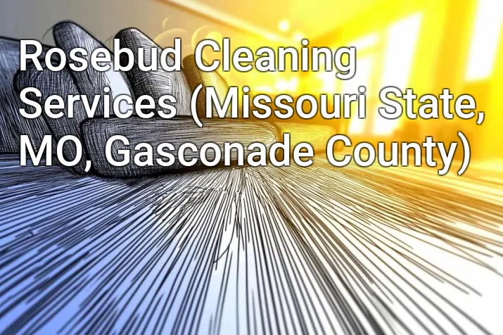 Rosebud Cleaning Services (Missouri State, MO, Gasconade County)