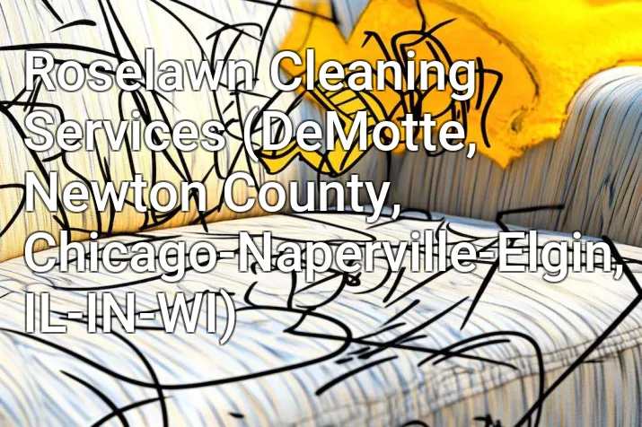 Roselawn Cleaning Services (DeMotte, Newton County, Chicago-Naperville-Elgin, IL-IN-WI)