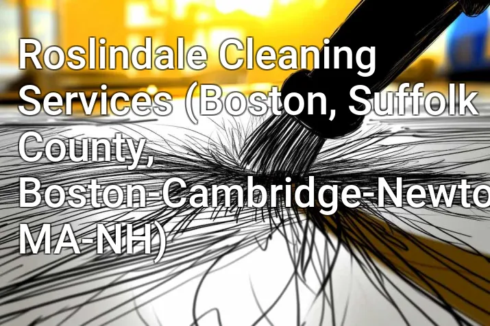 Roslindale Cleaning Services (Boston, Suffolk County, Boston-Cambridge-Newton, MA-NH)