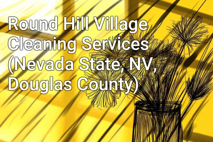 Round Hill Village Cleaning Services (Nevada State, NV, Douglas County)
