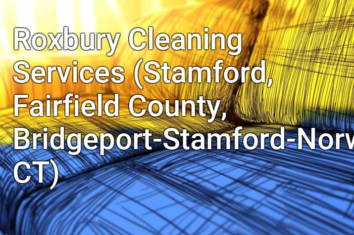 Roxbury Cleaning Services (Stamford, Fairfield County, Bridgeport-Stamford-Norwalk, CT)