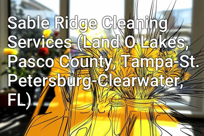 Sable Ridge Cleaning Services (Land O Lakes, Pasco County, Tampa-St. Petersburg-Clearwater, FL)