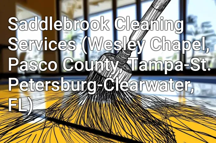 Saddlebrook Cleaning Services (Wesley Chapel, Pasco County, Tampa-St. Petersburg-Clearwater, FL)
