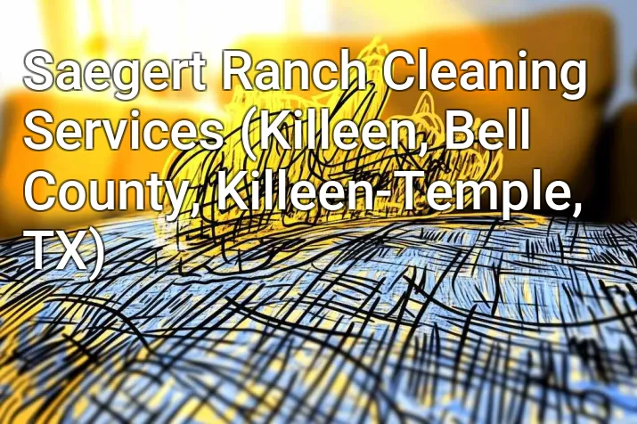 Saegert Ranch Cleaning Services (Killeen, Bell County, Killeen-Temple, TX)
