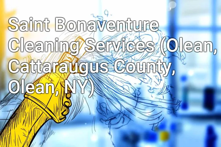 Saint Bonaventure Cleaning Services (Olean, Cattaraugus County, Olean, NY)