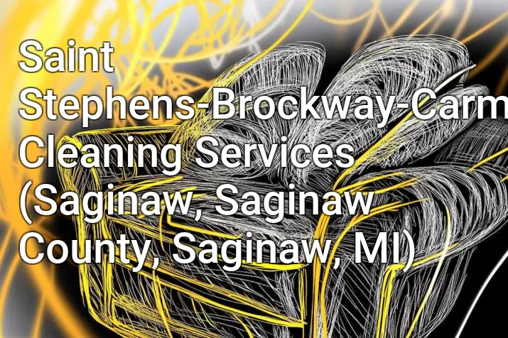 Saint Stephens-Brockway-Carmen Cleaning Services (Saginaw, Saginaw County, Saginaw, MI)