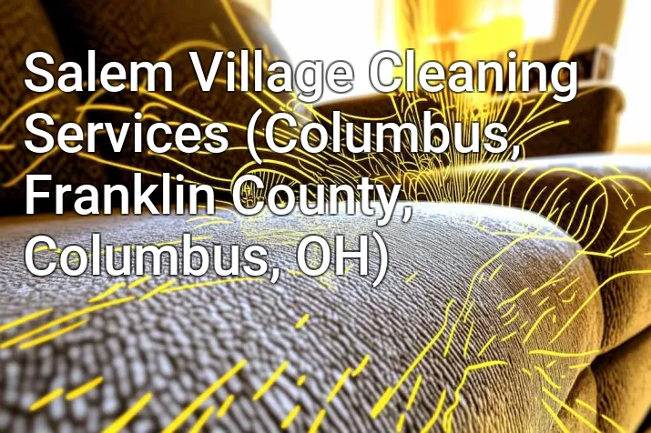 Salem Village Cleaning Services (Columbus, Franklin County, Columbus, OH)