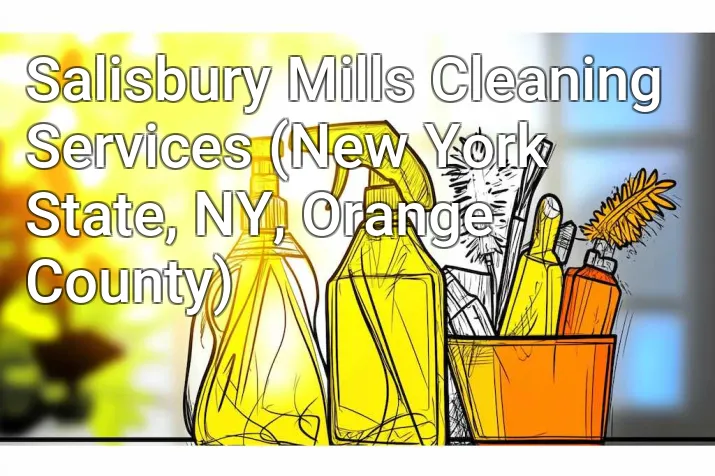 Salisbury Mills Cleaning Services (New York State, NY, Orange County)