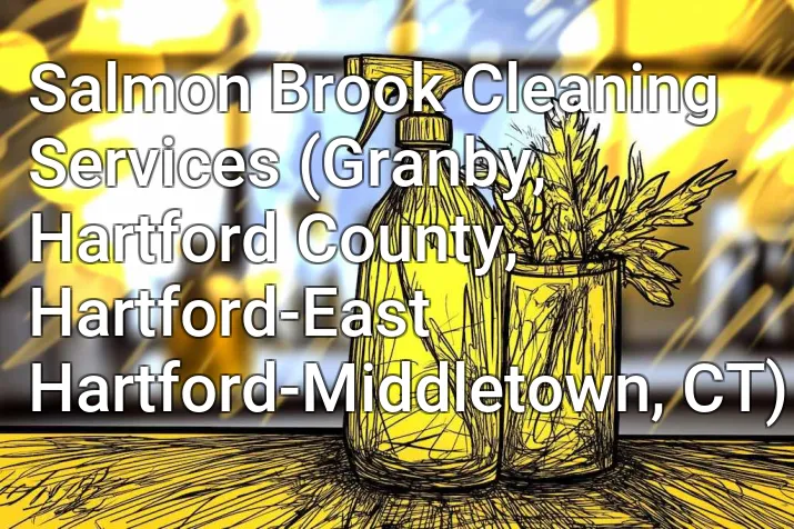 Salmon Brook Cleaning Services (Granby, Hartford County, Hartford-East Hartford-Middletown, CT)