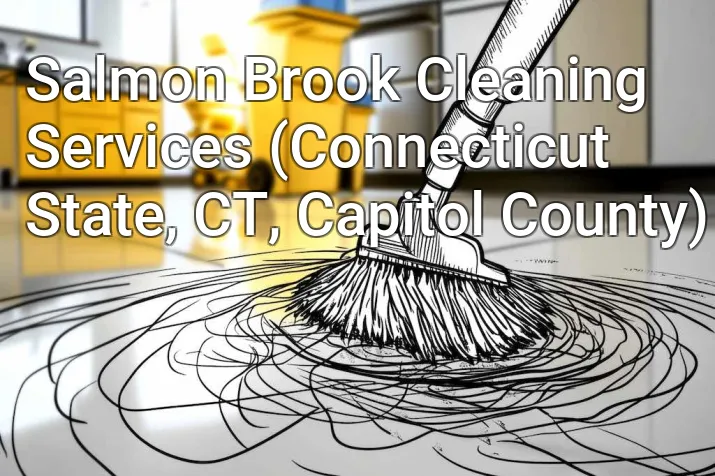 Salmon Brook Cleaning Services (Connecticut State, CT, Capitol County)