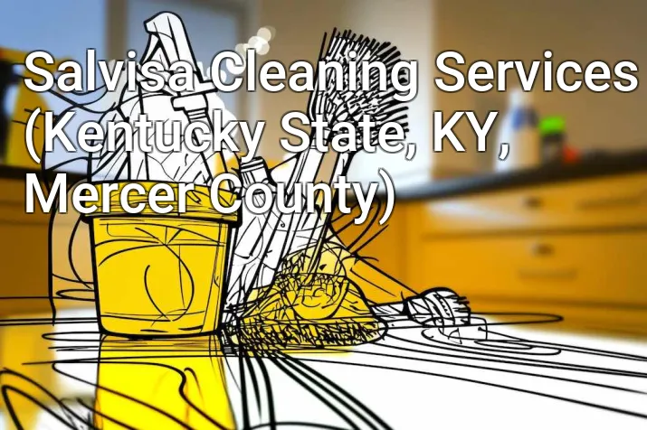Salvisa Cleaning Services (Kentucky State, KY, Mercer County)