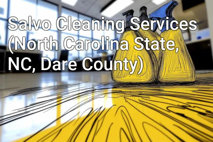 Salvo Cleaning Services (North Carolina State, NC, Dare County)
