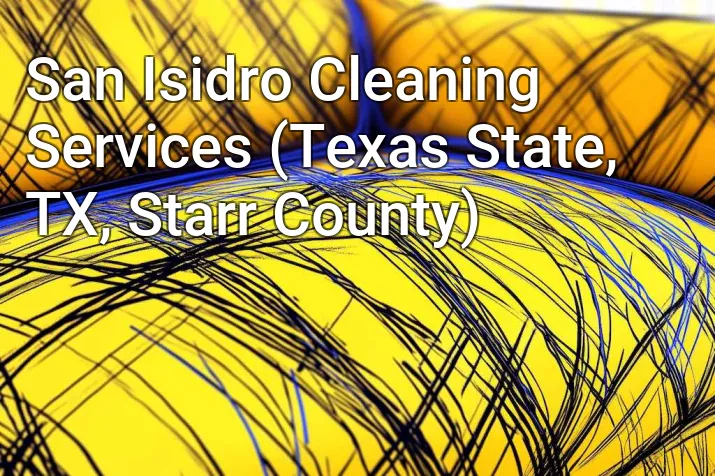 San Isidro Cleaning Services (Texas State, TX, Starr County)