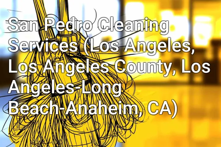 San Pedro Cleaning Services (Los Angeles, Los Angeles County, Los Angeles-Long Beach-Anaheim, CA)