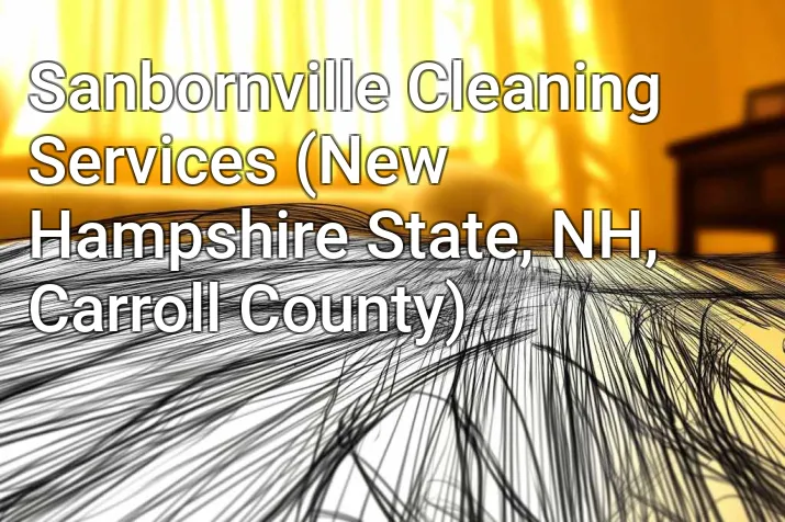 Sanbornville Cleaning Services (New Hampshire State, NH, Carroll County)