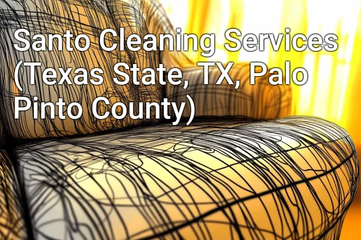 Santo Cleaning Services (Texas State, TX, Palo Pinto County)