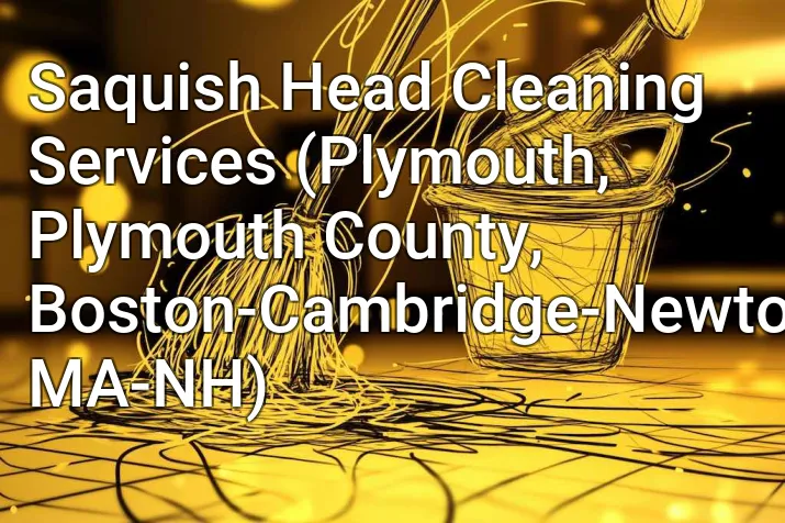 Saquish Head Cleaning Services (Plymouth, Plymouth County, Boston-Cambridge-Newton, MA-NH)