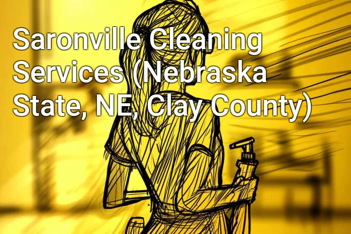 Saronville Cleaning Services (Nebraska State, NE, Clay County)