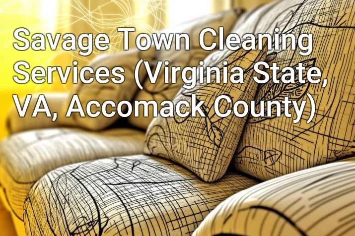 Savage Town Cleaning Services (Virginia State, VA, Accomack County)