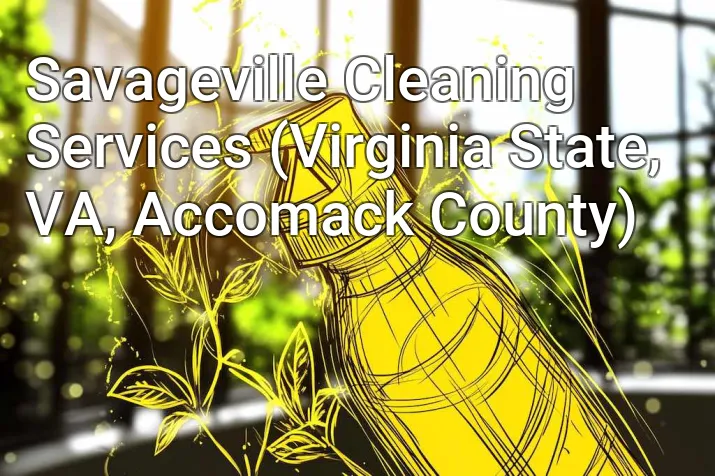 Savageville Cleaning Services (Virginia State, VA, Accomack County)