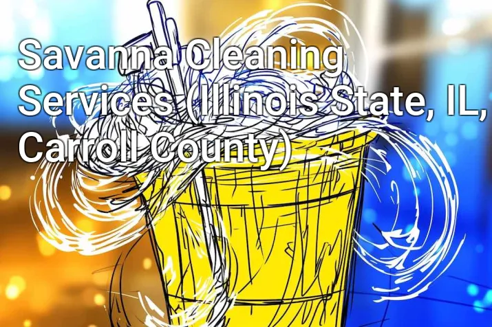 Savanna Cleaning Services (Illinois State, IL, Carroll County)