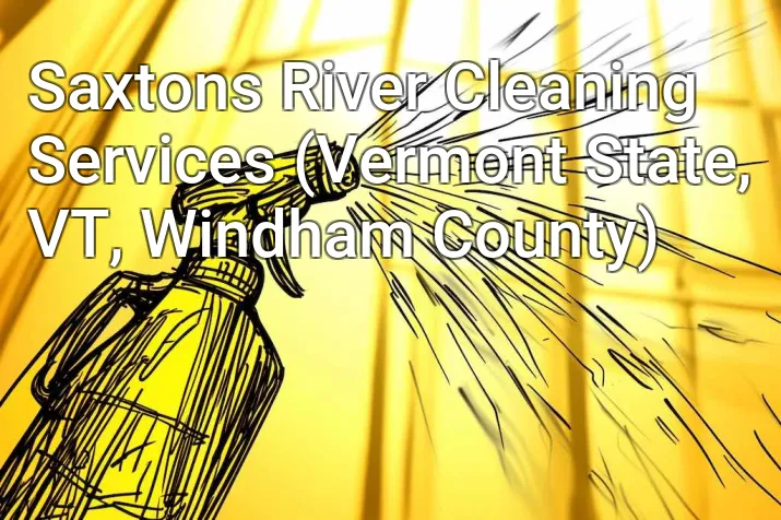 Saxtons River Cleaning Services (Vermont State, VT, Windham County)