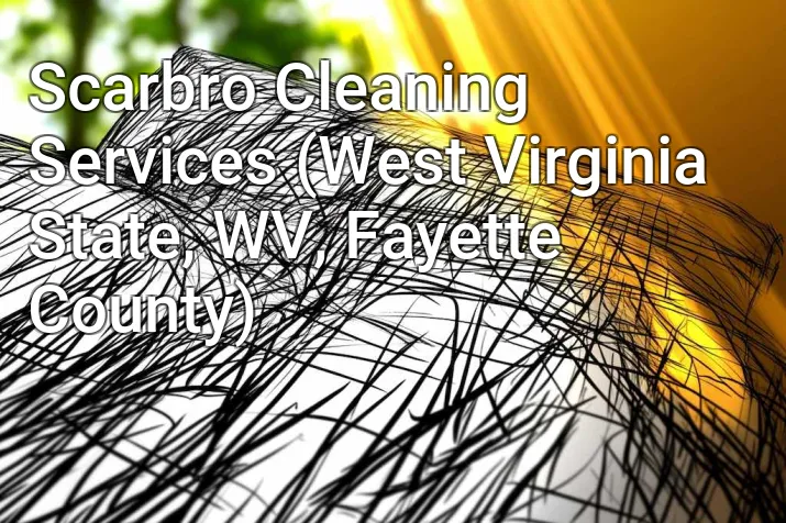 Scarbro Cleaning Services (West Virginia State, WV, Fayette County)