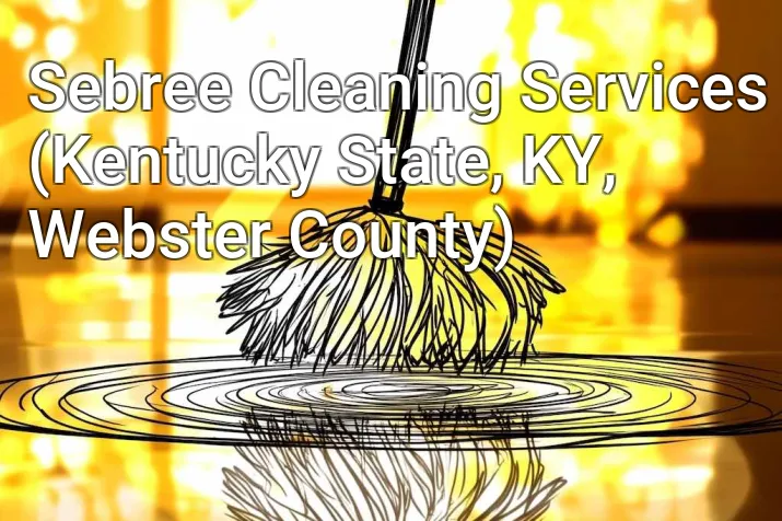 Sebree Cleaning Services (Kentucky State, KY, Webster County)