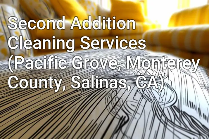 Second Addition Cleaning Services (Pacific Grove, Monterey County, Salinas, CA)