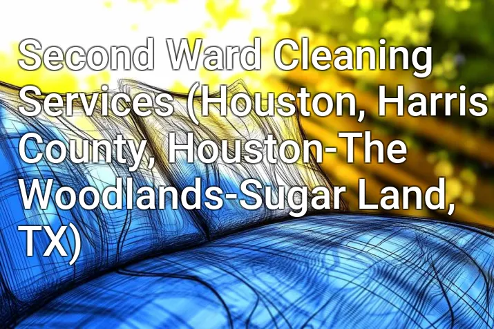 Second Ward Cleaning Services (Houston, Harris County, Houston-The Woodlands-Sugar Land, TX)