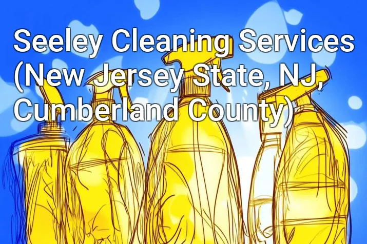 Seeley Cleaning Services (New Jersey State, NJ, Cumberland County)