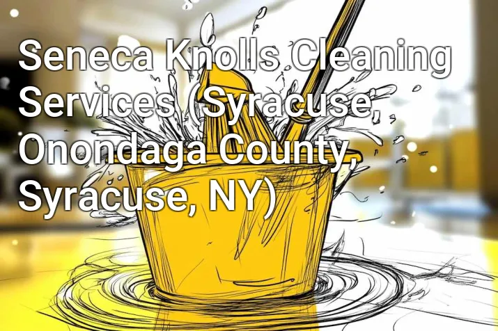 Seneca Knolls Cleaning Services (Syracuse, Onondaga County, Syracuse, NY)