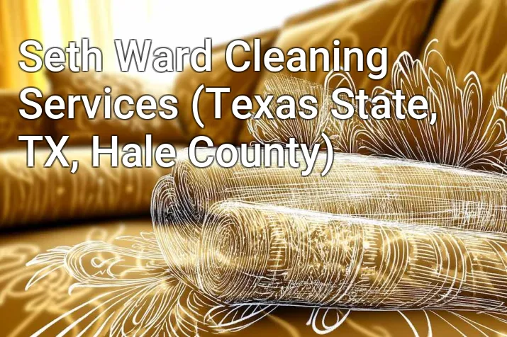 Seth Ward Cleaning Services (Texas State, TX, Hale County)