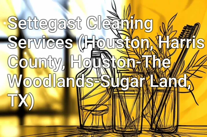 Settegast Cleaning Services (Houston, Harris County, Houston-The Woodlands-Sugar Land, TX)