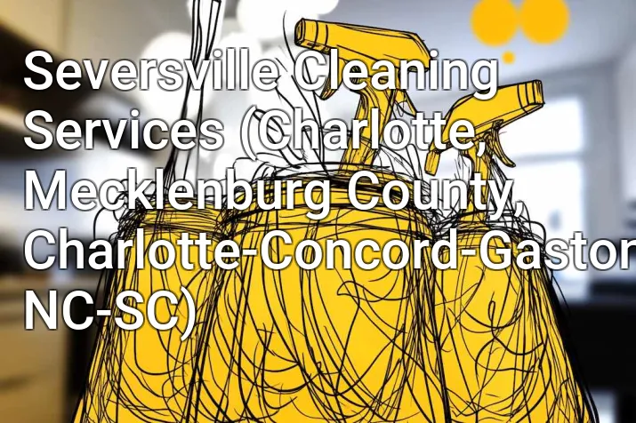 Seversville Cleaning Services (Charlotte, Mecklenburg County, Charlotte-Concord-Gastonia, NC-SC)