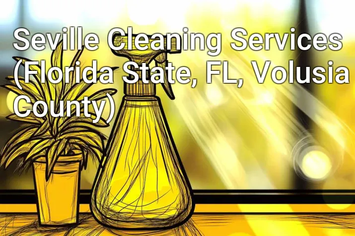 Seville Cleaning Services (Florida State, FL, Volusia County)