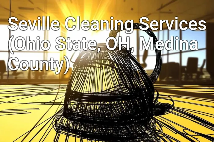 Seville Cleaning Services (Ohio State, OH, Medina County)