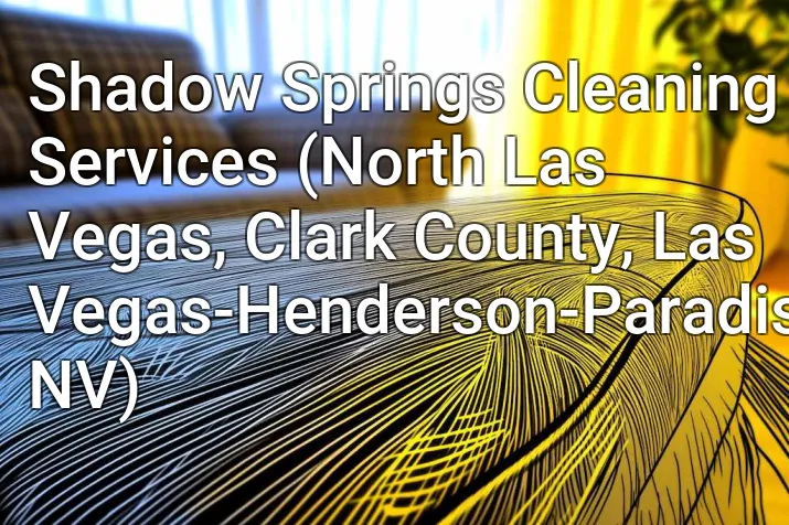 Shadow Springs Cleaning Services (North Las Vegas, Clark County, Las Vegas-Henderson-Paradise, NV)