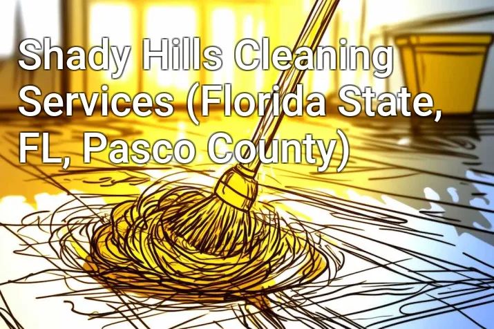 Shady Hills Cleaning Services (Florida State, FL, Pasco County)