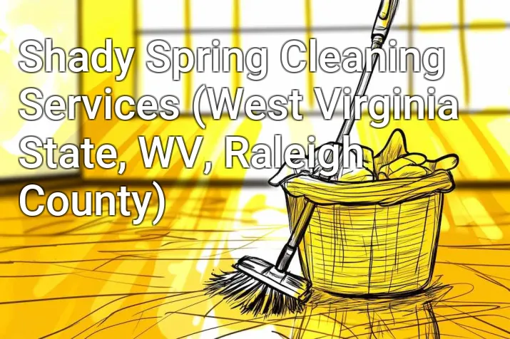 Shady Spring Cleaning Services (West Virginia State, WV, Raleigh County)