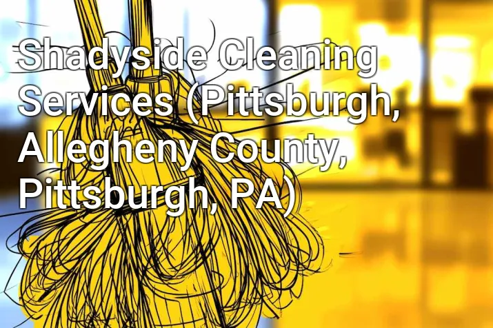 Shadyside Cleaning Services (Pittsburgh, Allegheny County, Pittsburgh, PA)