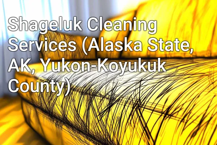 Shageluk Cleaning Services (Alaska State, AK, Yukon-Koyukuk County)