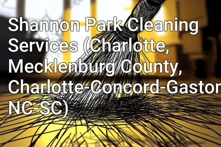Shannon Park Cleaning Services (Charlotte, Mecklenburg County, Charlotte-Concord-Gastonia, NC-SC)