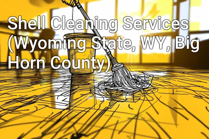 Shell Cleaning Services (Wyoming State, WY, Big Horn County)