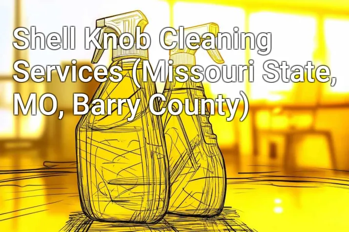 Shell Knob Cleaning Services (Missouri State, MO, Barry County)