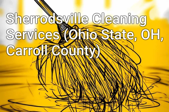 Sherrodsville Cleaning Services (Ohio State, OH, Carroll County)