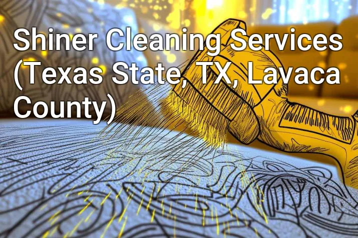 Shiner Cleaning Services (Texas State, TX, Lavaca County)