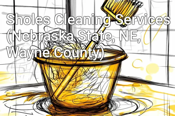 Sholes Cleaning Services (Nebraska State, NE, Wayne County)